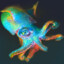 Holographic Cephalopod