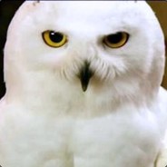 Hedwig