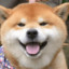 狗哥