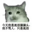 XingQiu