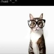 Yota, Megafon, Beeline.