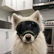 步枪手最长的河