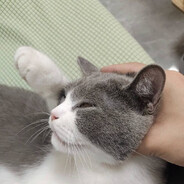 吃不饱睡不好吃早早饭