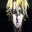 .grayhound