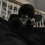 Avatar of player hands up сучки