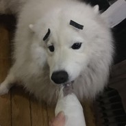 豆砸给你看个大宝贝