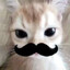 FiFI_2000