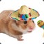 hamster with sombrero