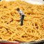 Spaghetti Farmer