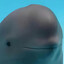 AZT -