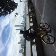 哥们别毁我号了