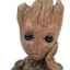 -Groot