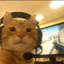 Milo