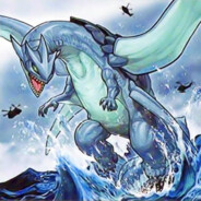 海龟的高级饲料