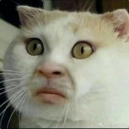 电子竞技没有平胸