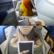 ihbp