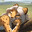 N I A avatar