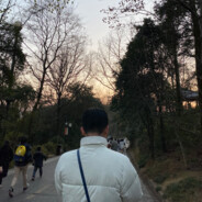 翻斗花园胡图图