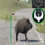 Primordial.dev beta build test d