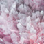 TheQuartz