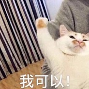 白给少年不白给