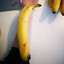 Freaky Banana