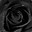 BlackRose