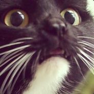 haYwYre - steam id 76561197971025054