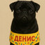 алиска шма