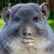 196km/h_1.9TDI_skins.army