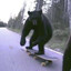 Le bear