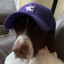sethcarlson7