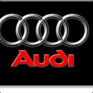 AUDI93/193.143.121.131:27019 io