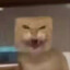 耄耋