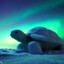 winterized_turtle