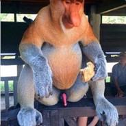 Ⓜ️ MEMES Denis🐾🦒 avatar