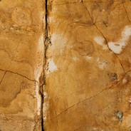 老子是天下无敌的大爷