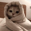 fightern-