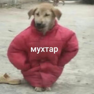 Мухтар