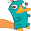 Spongieous_Platypus