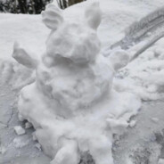 小迪别打飞机啦