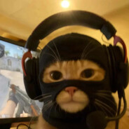 我读书少别骗我