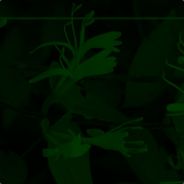 Macrage - steam id 76561197960423911