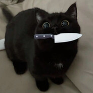🐈(‾◡◝)
