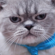 风萧萧兮易水寒