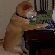 Shiba