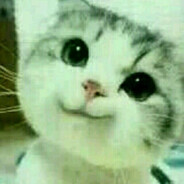 我们一起学猫叫