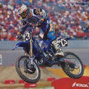 trev