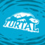 Turtal