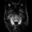 WOLFRIKON